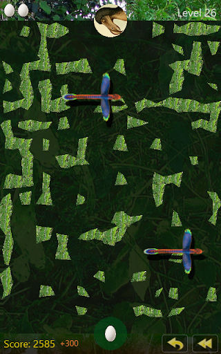 Jungle level