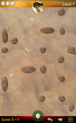 Desert level